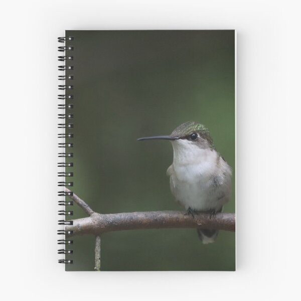 Item preview, Female Ruby-throated Hummingbird designed and sold by June Krisko.