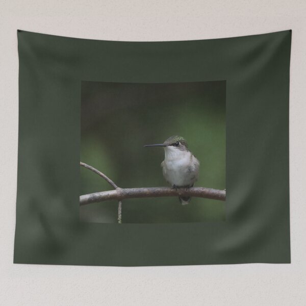 Item preview, Female Ruby-throated Hummingbird designed and sold by June Krisko.
