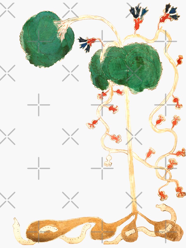 &ldquo;Voynich Manuscript Plant Illustration 97&rdquo; Sticker for Sale by