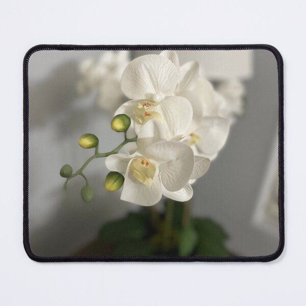 Item preview, White orchid designed and sold by SharniArt.