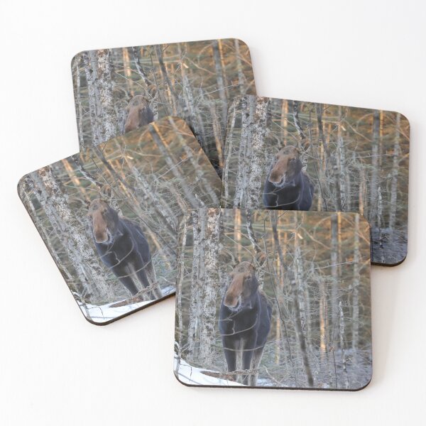 Item preview, Moose in the Woods designed and sold by June Krisko.