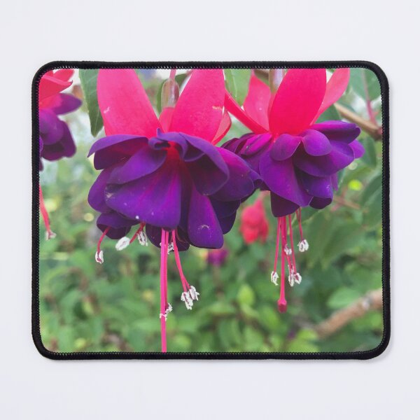 Item preview, Purple & Pink Flowers designed and sold by chattergold.