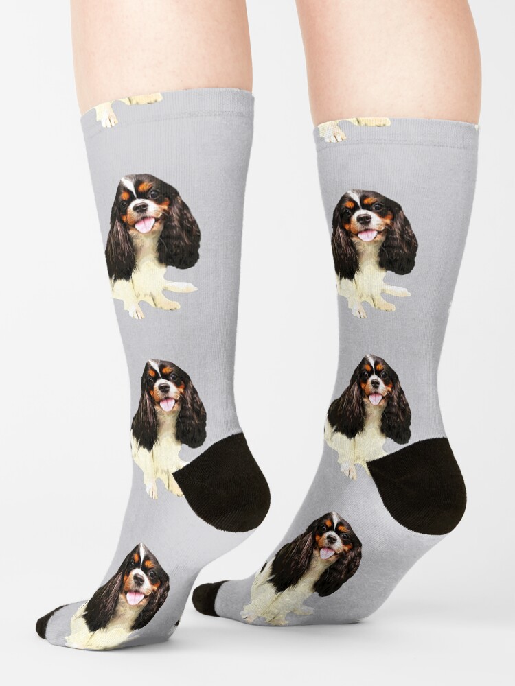 Cavalier king charles spaniel Tri Puppy Dog Socks