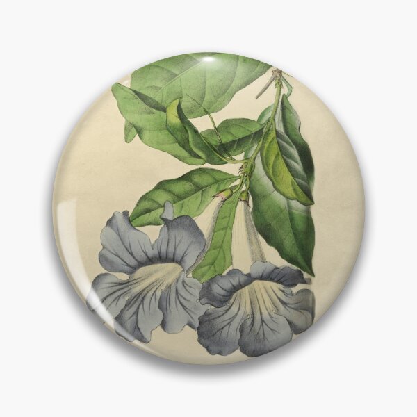 Item preview, Beautiful Tacoma With Details designed and sold by ptMaker.