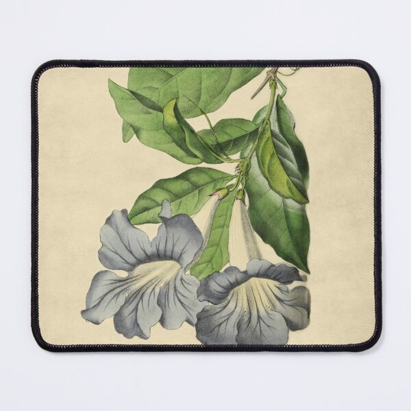 Item preview, Beautiful Tacoma With Details designed and sold by ptMaker.