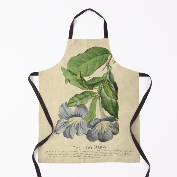 Item preview, Beautiful Tacoma With Details designed and sold by ptMaker.
