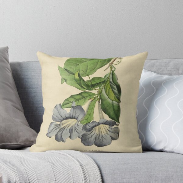 Item preview, Beautiful Tacoma With Details designed and sold by ptMaker.