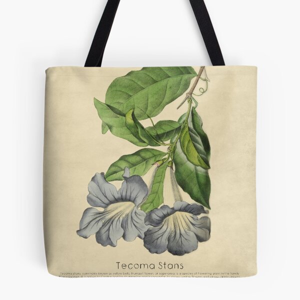 Item preview, Beautiful Tacoma With Details designed and sold by ptMaker.