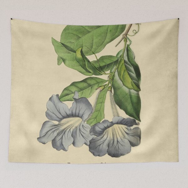 Item preview, Beautiful Tacoma With Details designed and sold by ptMaker.