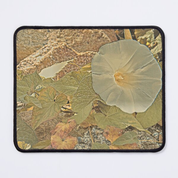 Item preview, White Climber 1-9W designed and sold by MaryLinH.