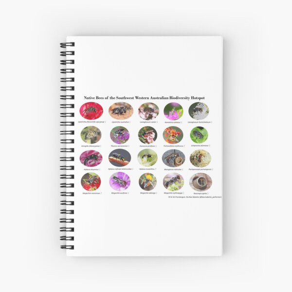 Item preview, Native Bees of the Southwest Western Australian Biodiversity Hotspot designed and sold by BeeBabette.