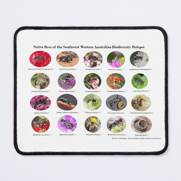 Item preview, Native Bees of the Southwest Western Australian Biodiversity Hotspot designed and sold by BeeBabette.