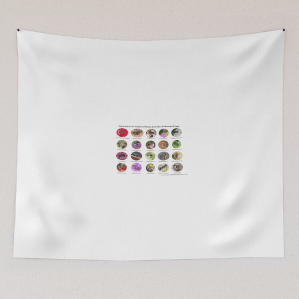 Item preview, Native Bees of the Southwest Western Australian Biodiversity Hotspot designed and sold by BeeBabette.