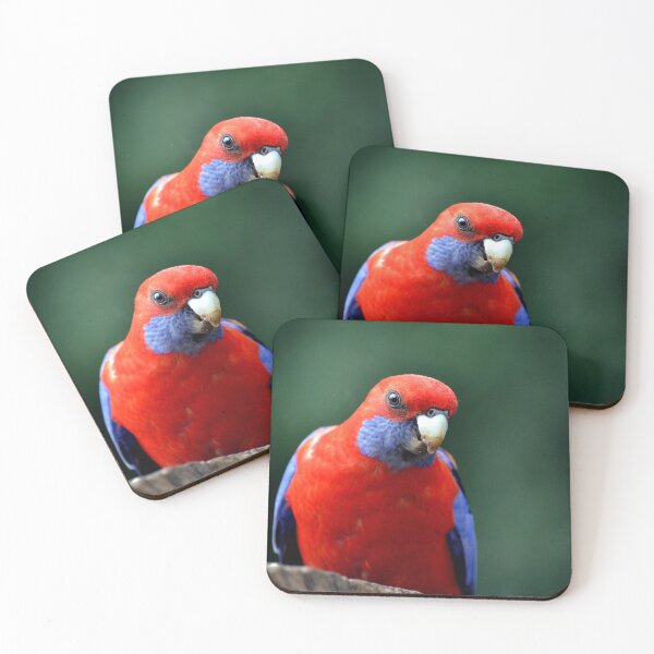 Item preview, © Crimson rosella designed and sold by GeoPipics.
