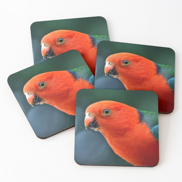 Item preview, © King Parrot designed and sold by GeoPipics.