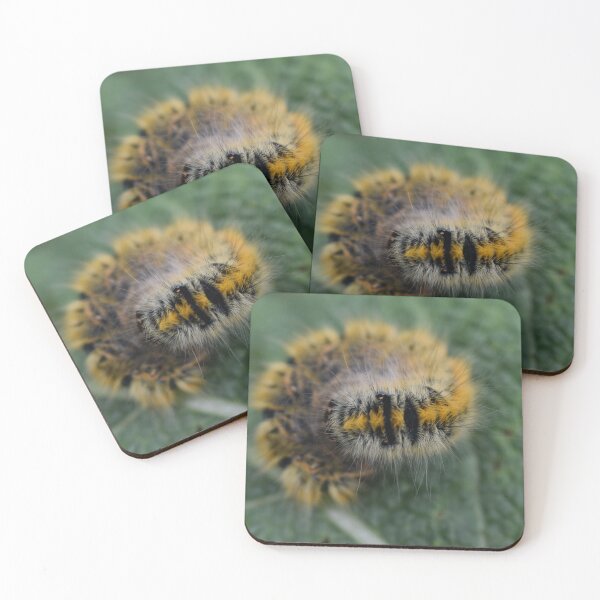 Item preview, Caterpillar designed and sold by Antoine31000.