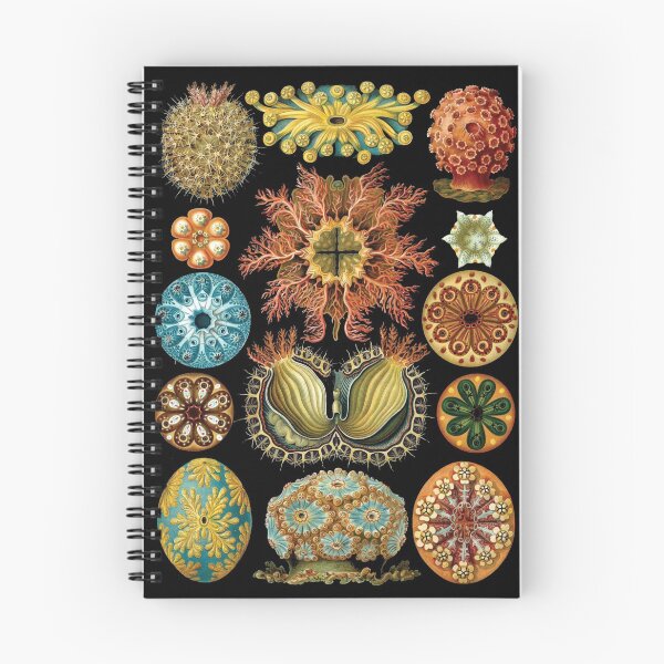 Item preview, Haeckel illustration designed and sold by monsterplanet.