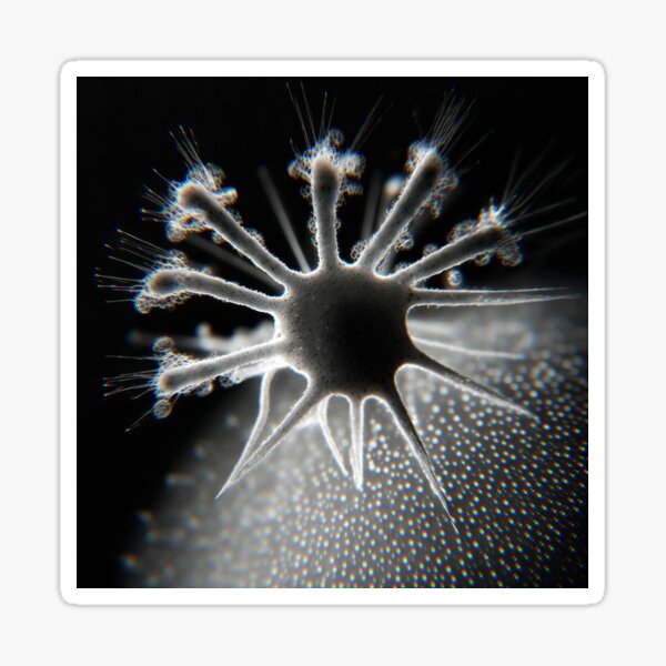 Item preview, Microcosm 6 designed and sold by DarklingAnubiss.