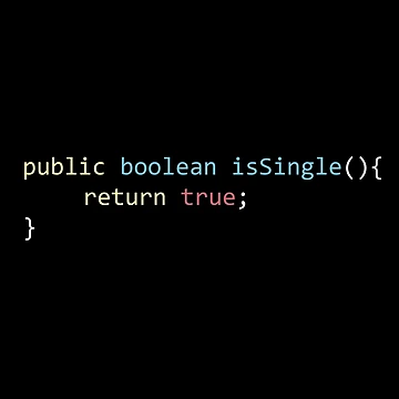 Artwork thumbnail, Java Code Pun isSingle() method by Alicia-Lee