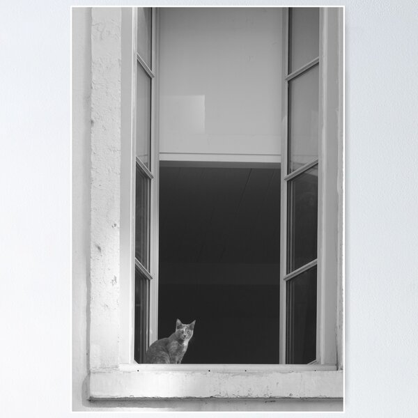 Item preview, Small Cat at Big Window Street Photography in Black and White designed and sold by CarolinaReina.