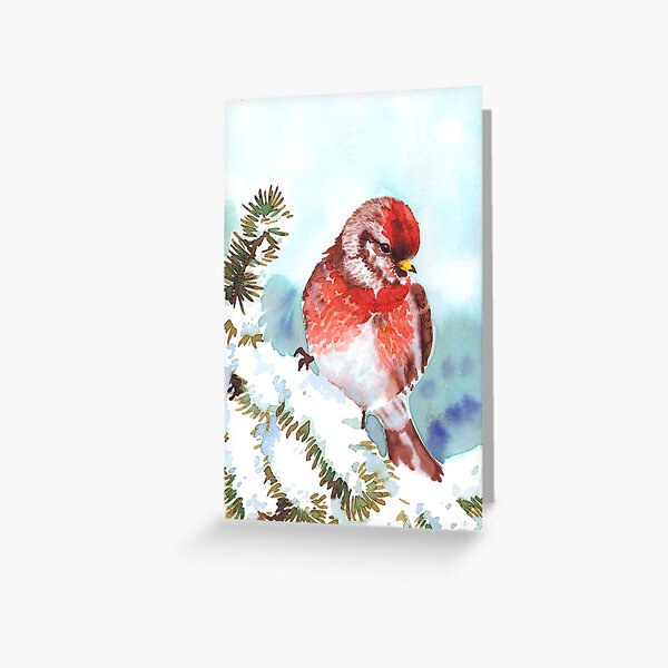 Redpoll posed Greeting Card