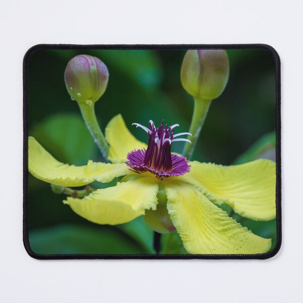 Item preview, Yellow Passion Flower designed and sold by TravellingFatmn.