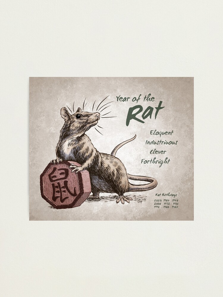 "Year of the Rat Calendar (white)" Photographic Print for Sale by