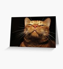 Smug Greeting Card