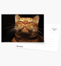 Smug Postcards