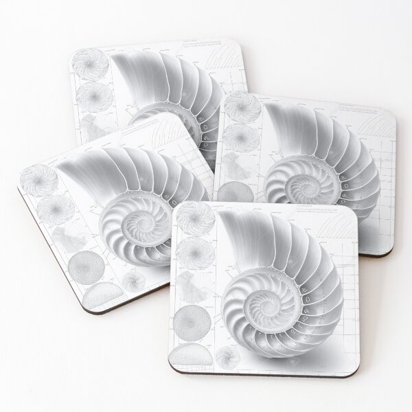 Item preview, White Pearl Fibonacci Golden Ratio Style   designed and sold by RAGANADesign.