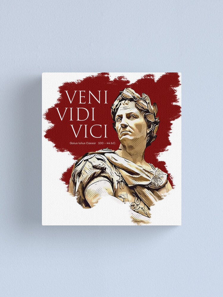 Hand drawn lettering veni vidi vici - latin Vector Image