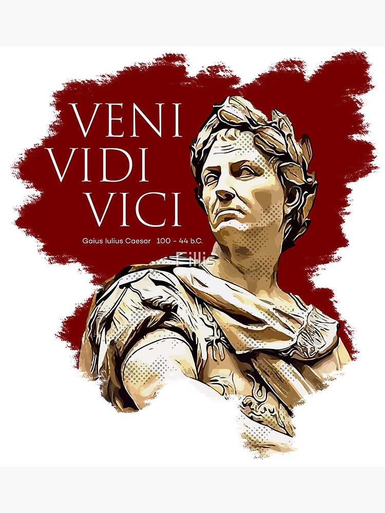 Veni, Vidi, Vici Julius Caesar Quote  Poster for Sale by