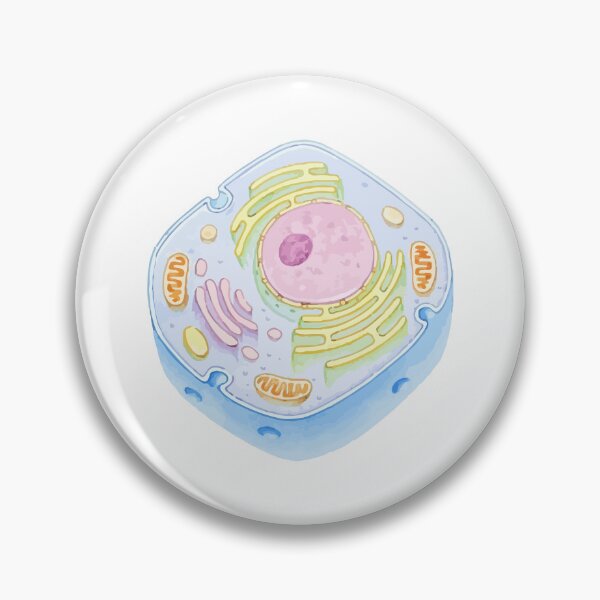 Item preview, Human Cell Structure designed and sold by labstud.