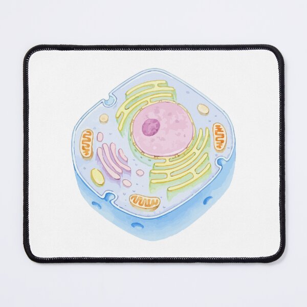 Item preview, Human Cell Structure designed and sold by labstud.