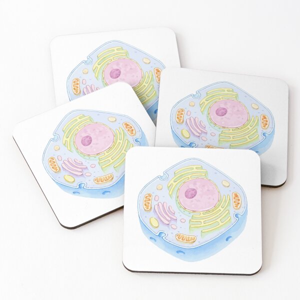Item preview, Human Cell Structure designed and sold by labstud.