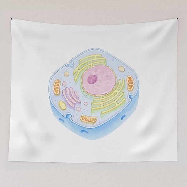 Item preview, Human Cell Structure designed and sold by labstud.