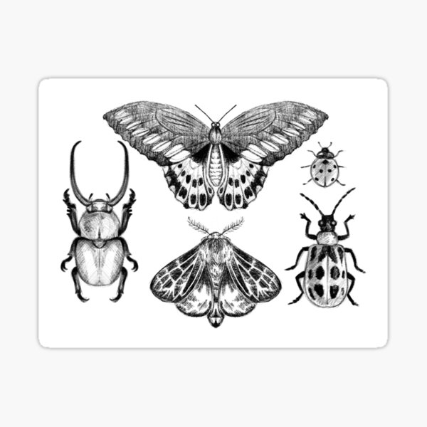 Grayscale Butterfly Sticker Pack Sticker for Sale by piperbrantley