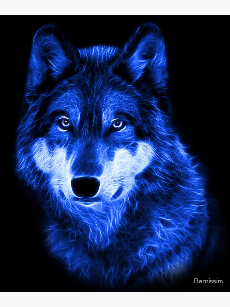 black and blue wolf wallpaper