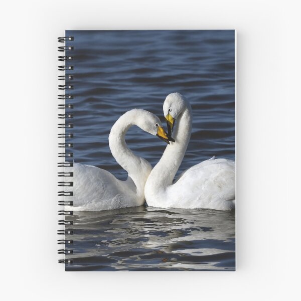 Item preview, Cisnes cantores designed and sold by Dan Odling.