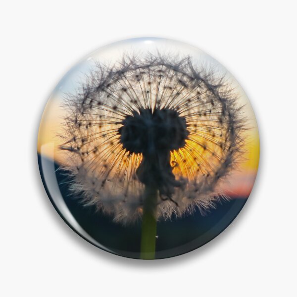 Item preview, Dandelion at sunset designed and sold by rogerhphoto.