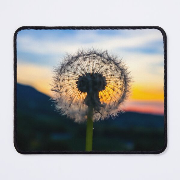 Item preview, Dandelion at sunset designed and sold by rogerhphoto.