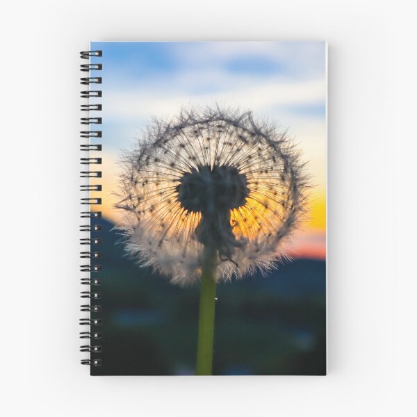 Item preview, Dandelion at sunset designed and sold by rogerhphoto.