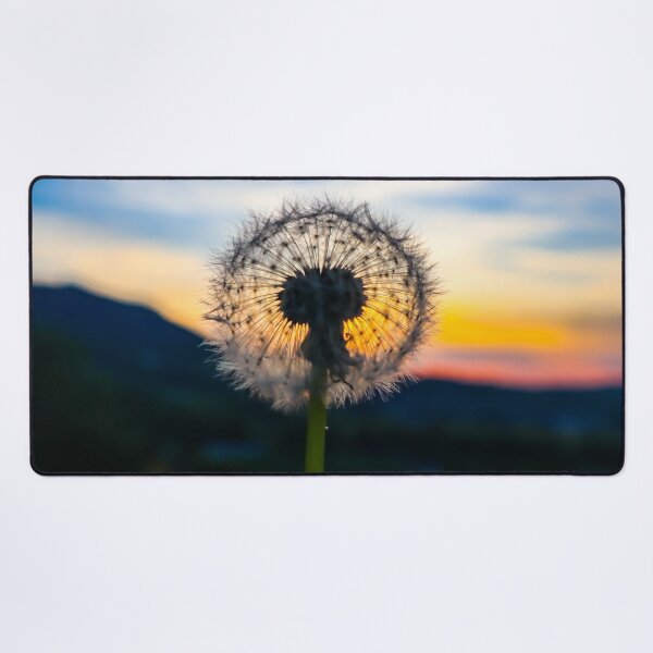 Item preview, Dandelion at sunset designed and sold by rogerhphoto.