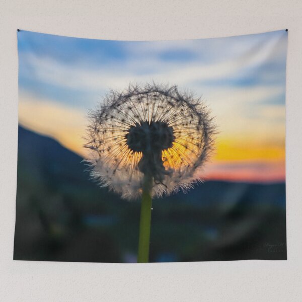 Item preview, Dandelion at sunset designed and sold by rogerhphoto.