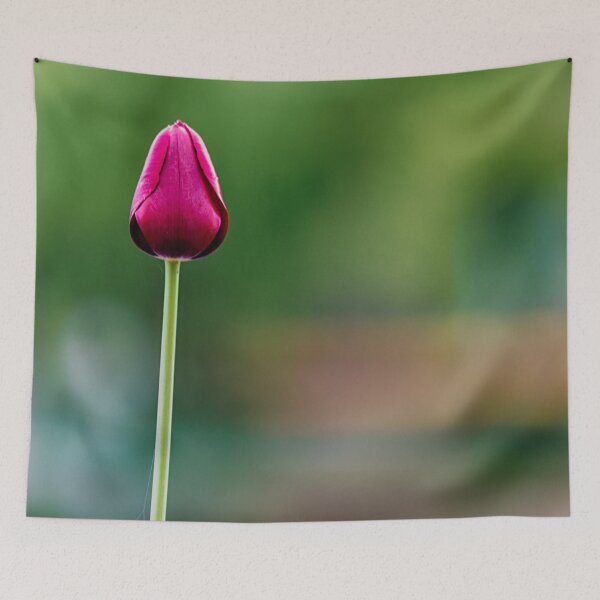 Item preview, Red tulip with bokeh background designed and sold by Teniche.
