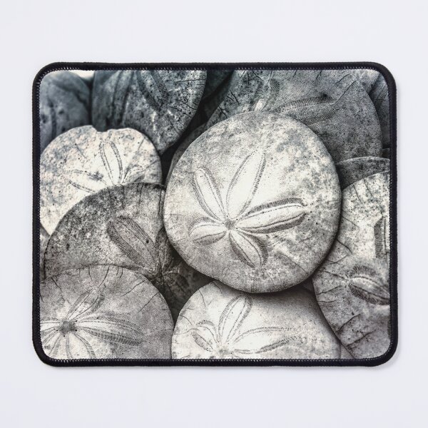 Item preview, Dollar Store designed and sold by Steve Walser.