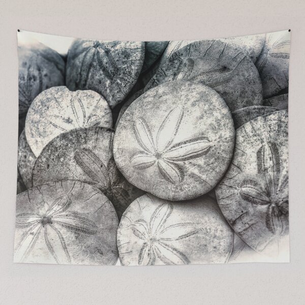 Item preview, Dollar Store designed and sold by Steve Walser.