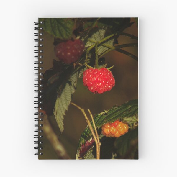 Item preview, red raspberry designed and sold by Francespoppy.