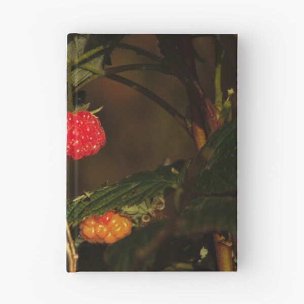 Item preview, red raspberry designed and sold by Francespoppy.