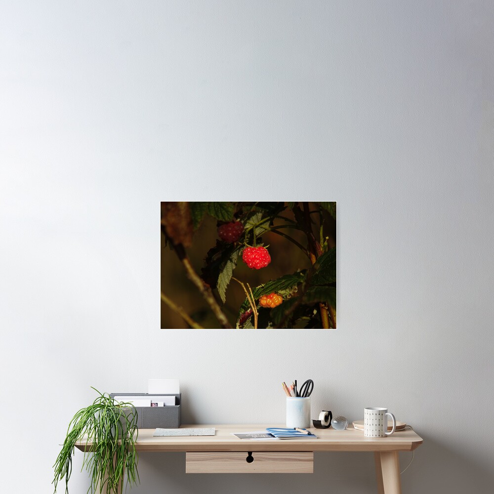 Item preview, Poster designed and sold by Francespoppy.